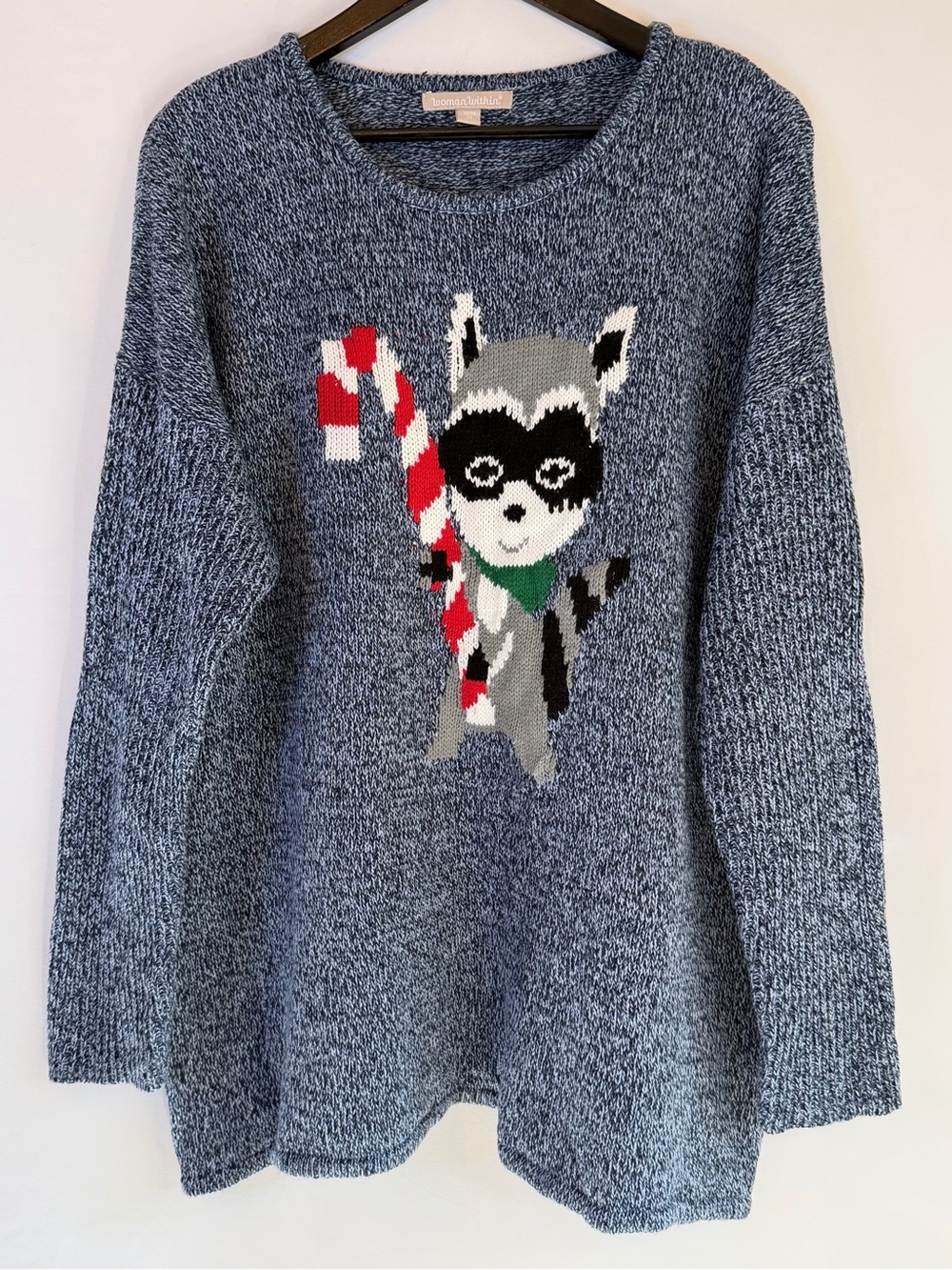 Woman Within Sweater Womens 1X 22-24 Marbled Knit Raccoon Candy Cane Christmas